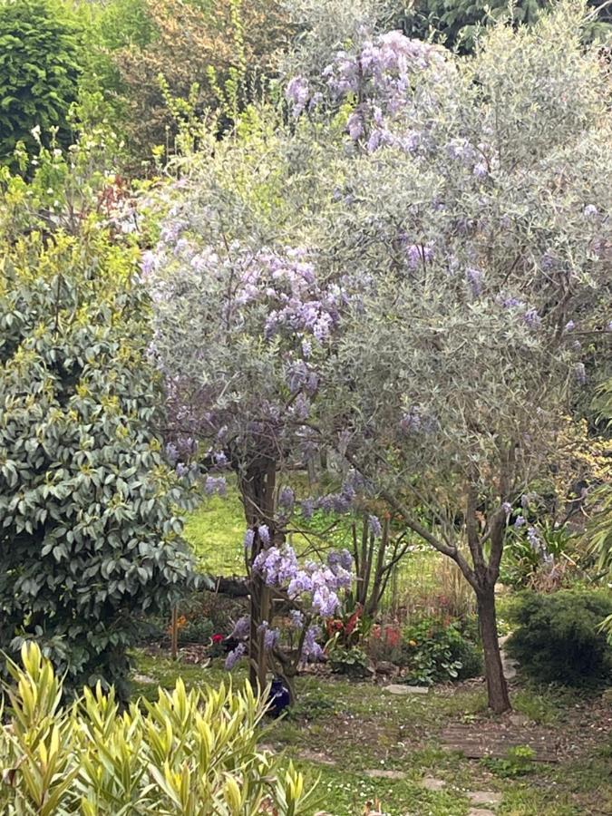 A Room And Garden Close To Paris Vitry-sur-Seine Exteriör bild