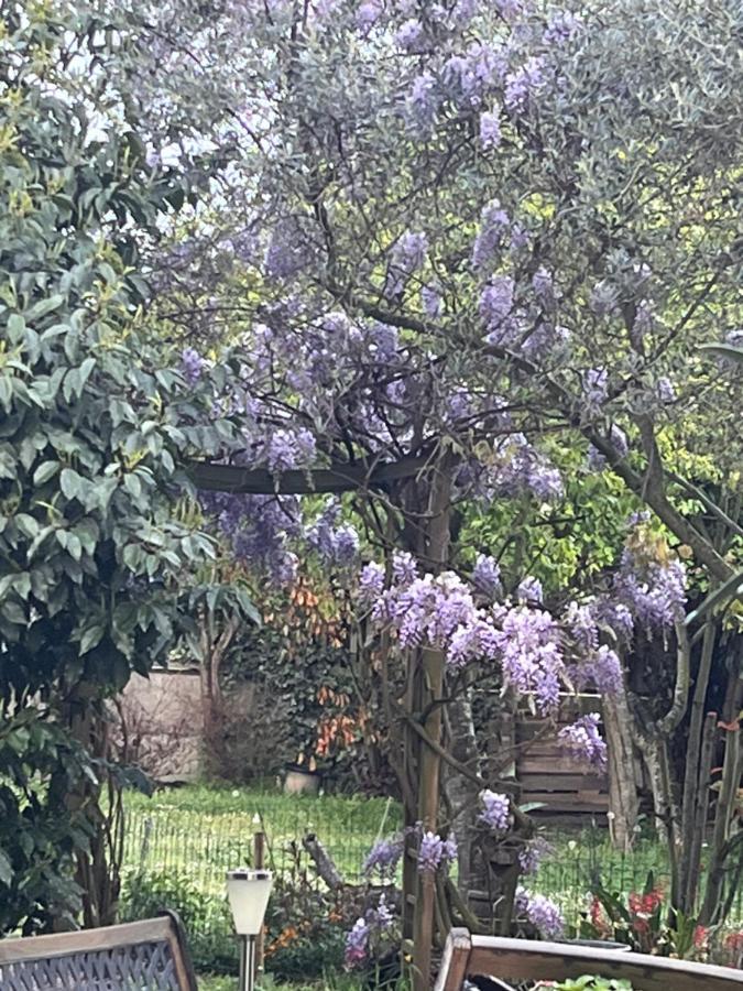 A Room And Garden Close To Paris Vitry-sur-Seine Exteriör bild